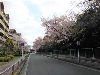 2020年1月〜6月